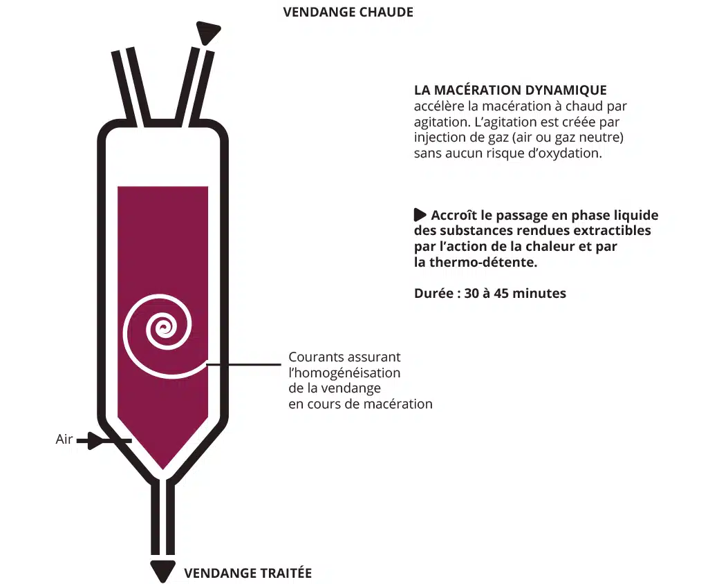 Schemas-thermique-vinicole-vendange